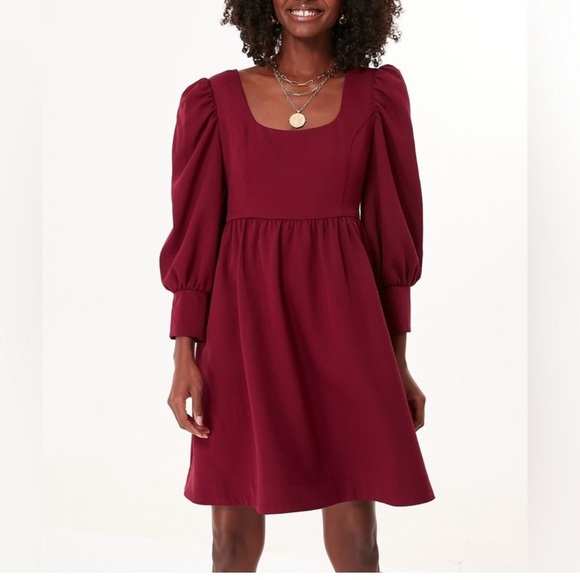 Tuckernuck Burgundy Mini Dress - Picture 1 of 13